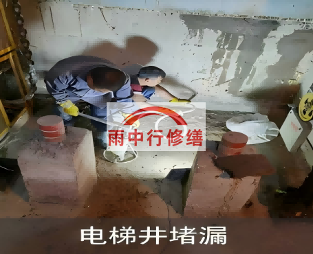 昌江星雨华府电梯井堵漏案例